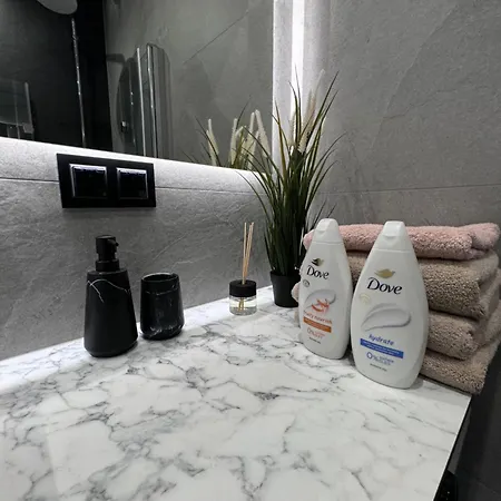 Bnp L Business And Pleasure Posnania Apartment